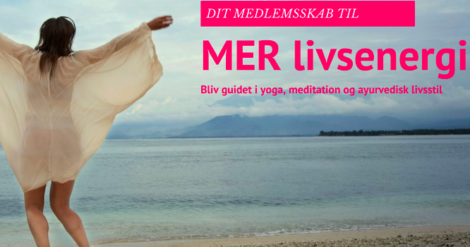 En gave, der for alvor løfter DIN livsenergi